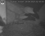 Capi_Dubne_20250418_020503.jpg