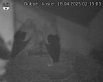 Capi_Dubne_20250418_021503.jpg