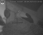 Capi_Dubne_20250418_031002.jpg