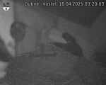 Capi_Dubne_20250418_032003.jpg