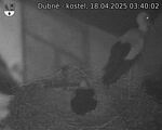 Capi_Dubne_20250418_034002.jpg