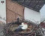 Capi_Dubne_20250418_080002.jpg