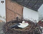 Capi_Dubne_20250418_083502.jpg