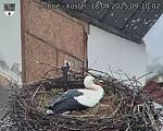 Capi_Dubne_20250418_091002.jpg