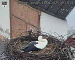 Capi_Dubne_20250418_091502.jpg