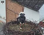 Capi_Dubne_20250418_103004.jpg