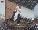 Capi_Dubne_20250418_103504.jpg