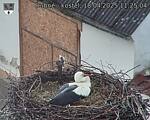 Capi_Dubne_20250418_112504.jpg