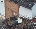 Capi_Dubne_20250418_113002.jpg