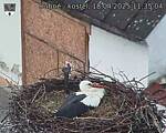 Capi_Dubne_20250418_113504.jpg