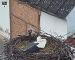 Capi_Dubne_20250418_114003.jpg
