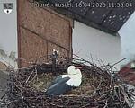 Capi_Dubne_20250418_115504.jpg