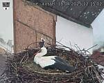 Capi_Dubne_20250418_121502.jpg