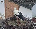 Capi_Dubne_20250418_124502.jpg