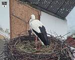 Capi_Dubne_20250418_125003.jpg