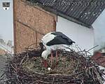 Capi_Dubne_20250418_130003.jpg