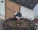 Capi_Dubne_20250418_130504.jpg