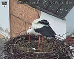 Capi_Dubne_20250418_131004.jpg