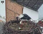 Capi_Dubne_20250418_131502.jpg