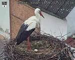 Capi_Dubne_20250418_133004.jpg