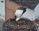 Capi_Dubne_20250418_134002.jpg