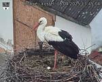 Capi_Dubne_20250418_134504.jpg