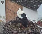 Capi_Dubne_20250418_140004.jpg