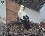 Capi_Dubne_20250418_140504.jpg