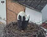 Capi_Dubne_20250418_143004.jpg