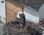Capi_Dubne_20250418_144002.jpg