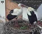 Capi_Dubne_20250418_145004.jpg