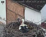 Capi_Dubne_20250418_145502.jpg