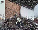 Capi_Dubne_20250418_150502.jpg
