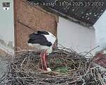 Capi_Dubne_20250418_152002.jpg