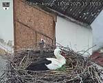 Capi_Dubne_20250418_153503.jpg
