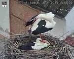 Capi_Dubne_20250418_155502.jpg