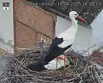 Capi_Dubne_20250418_160003.jpg