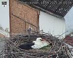 Capi_Dubne_20250418_160504.jpg