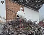Capi_Dubne_20250418_161003.jpg