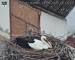 Capi_Dubne_20250418_161503.jpg