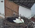 Capi_Dubne_20250418_162502.jpg