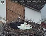 Capi_Dubne_20250418_163004.jpg