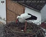 Capi_Dubne_20250418_164003.jpg