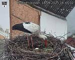 Capi_Dubne_20250418_164502.jpg