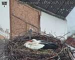 Capi_Dubne_20250418_171002.jpg