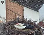 Capi_Dubne_20250418_171503.jpg