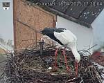 Capi_Dubne_20250418_173004.jpg