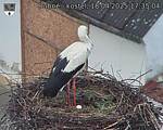 Capi_Dubne_20250418_173504.jpg