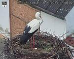 Capi_Dubne_20250418_174003.jpg