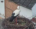 Capi_Dubne_20250418_174503.jpg
